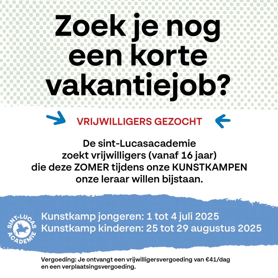Zomerkamp – vrijwilligers gezocht